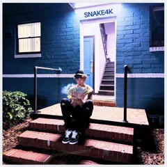 COOL KICKs - Snake4k