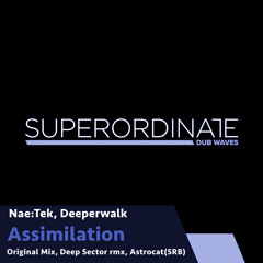 Assimilation (Deep Sector) [Superordinate Dub Waves]
