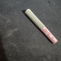 feds (quas x @mo0nrock1 x @gfelds)