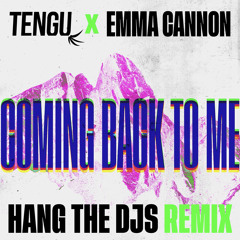 Coming Back to Me (Hang the Djs Remix)