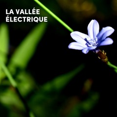 La Vallée Électrique 2022 • Daniel[i]