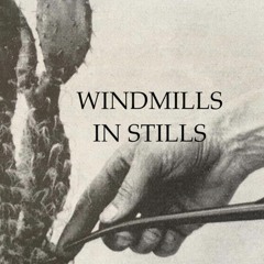 Windmills In Stills