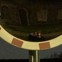 WHEN THE BASSLINE HITS (trash made in 10 minutes)