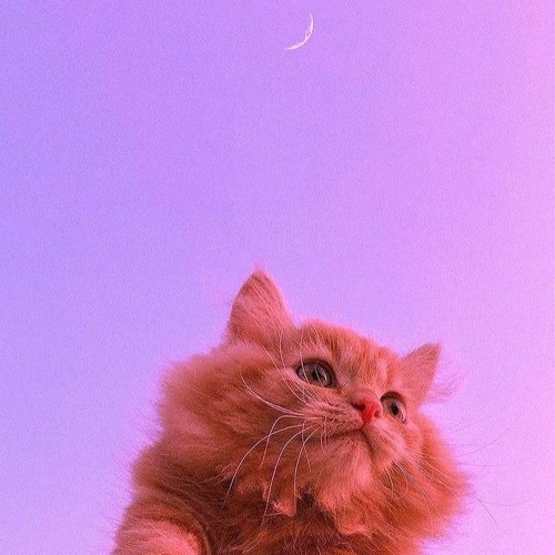 Дурсамж