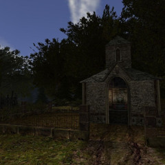asylum