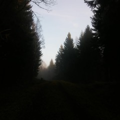 Evening Rav Jam [B Onoleo & A Integral]