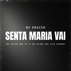 MTG - SENTA MARIA VAI - DJ´S FEIJÃO JULIN DO AV,FUMO DO SAO PEDRO.wav