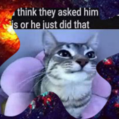 Meowing For 10 Hours Straight