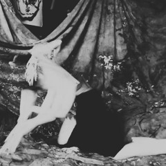 Daffodil’s erosion