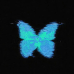 butterflies (prod.tainlykick)