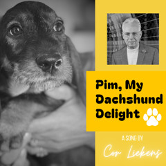 Pim, My Dachshund Delight