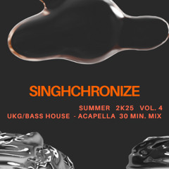 SUMMER 2K25 VOL. 4 - NO JOKE TING [UKG/ BASS HOUSE ACAPELLA 30 MIN. MIX]