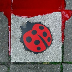 Gogetter cb, Lieveheerstbeestje Gelekt