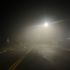 What doth life? (Shit post)