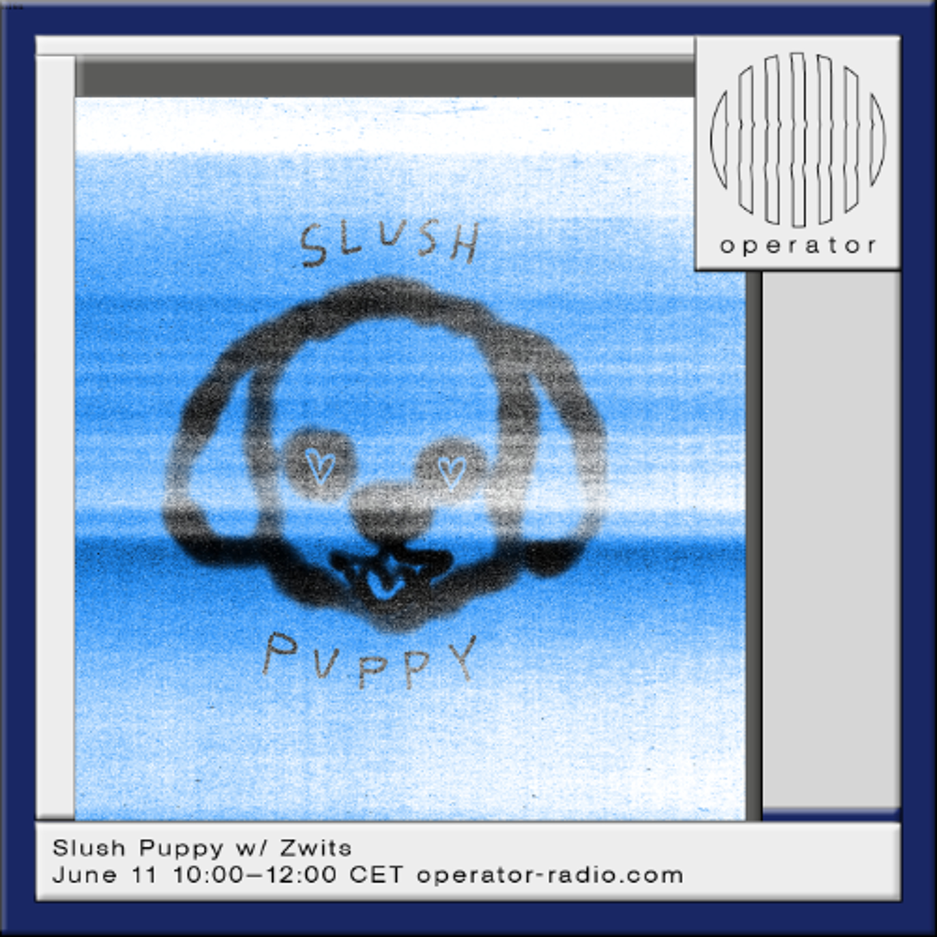 Slush Puppy - 25 w/ Zwits - 11th June 2026 episode artwork