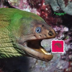 EELS ON ACID