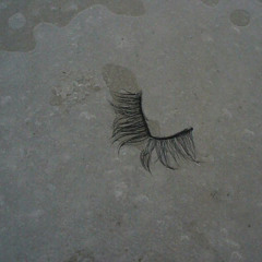 влажные мечты