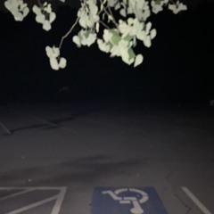 all this darn raucous