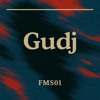 FMS 01 - Gudj DJ mix artwork - Electronic music tracklist cover image