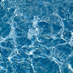 FANCY FREE (Sunshine Ver)