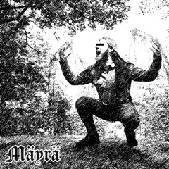 Seuraaja
