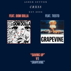 Saving Up X Grapevine Dom Dolla, Tiesto, (CRXSS MASHUP)