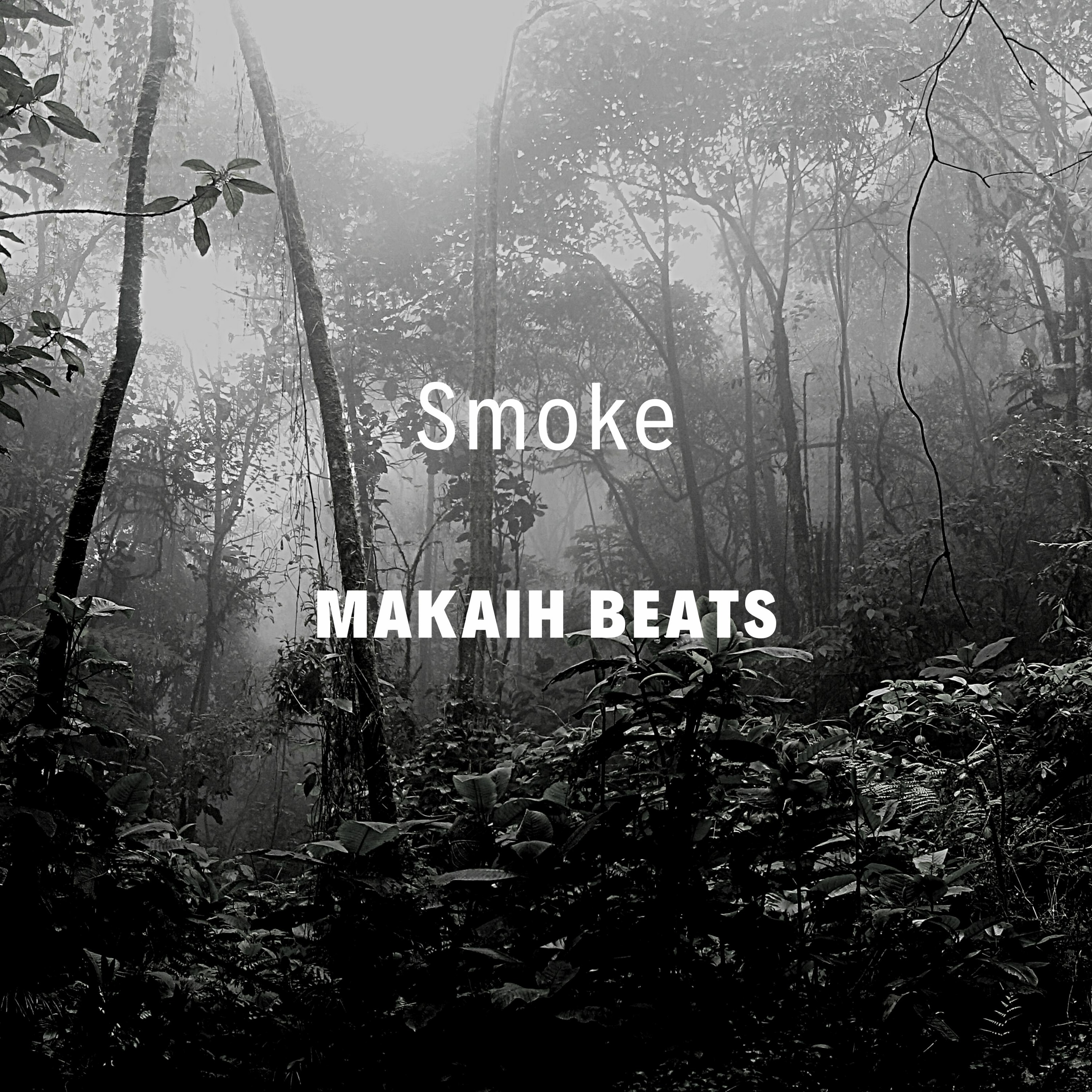 Free Beats & Exclusive Beats