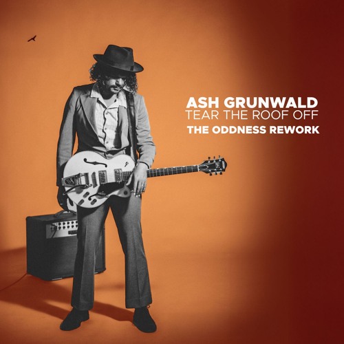 ASH GRUNWALD / TEAR THE ROOF OFF/ THE ODDNESS REWORK