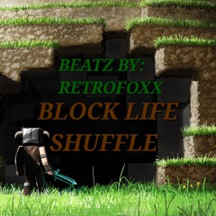 Block Life Shuffle