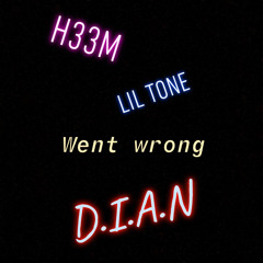 Went Wrong- D.I.A.N Ft H33M & LiL TONE