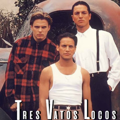 Stereo TRIP - Vatos Locos (remix) 2025