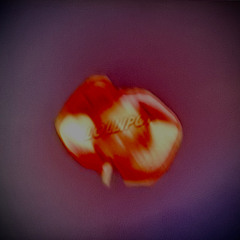 LOLLIPOP PROD . JX-66 . MOONWICK