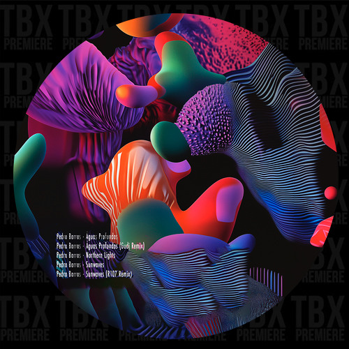 PREMIERE: Pedro Barros - Aguas Profundas (Gudj Remix) [reActive Lab]
