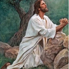 Sermons + words of wisdom