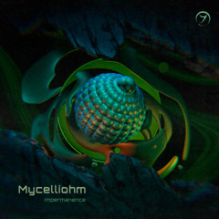 Mycelliohm - Impermanence (seamless mix)