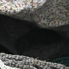 Nudi I/Momi