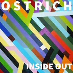 Inside Out (Got No Doubt)
