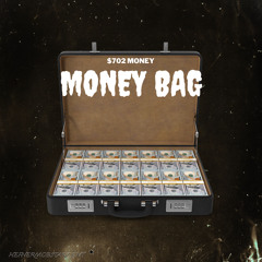 $702 Money -MONEY BAG