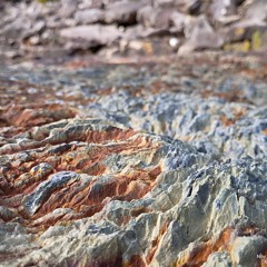 It's Just a Euphoric Illusion