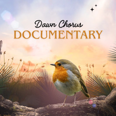 Dawn Chorus Documentary | Ruth Doyle Voice Artist