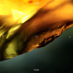 [0с_mix_005] hasis