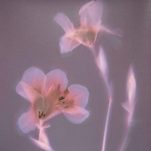 wont 4get u! [p.heartthrob]