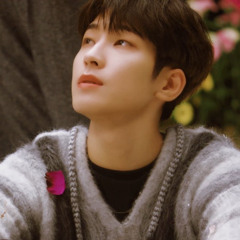 mùa xuân đầu tiên - wonwoo ai cover