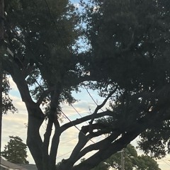 How are you doing ? (FREESTYLE) (prod.dieforyou)