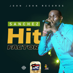 Hit Factor