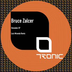 Bruce Zalcer - Moonlight Reverie