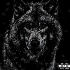 Call The Wolves(Prod. #NEVERSTOP)