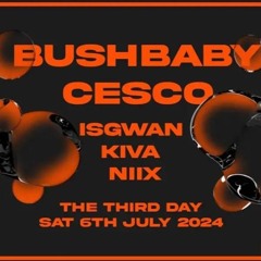 38 // NIIX 4 CESCO + BUSHBABY / TWISTED AUDIO B2B OPERATIVES