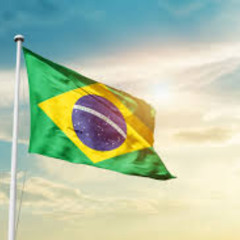 El baile do brasil  (feat. Juan Pachanga)