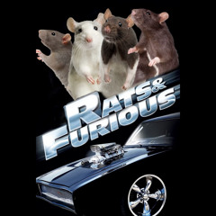 Rats N Furious
